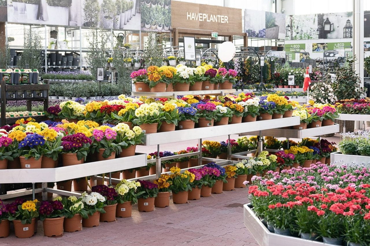 Blomsterafdelingen i et Plantorama-havecenter